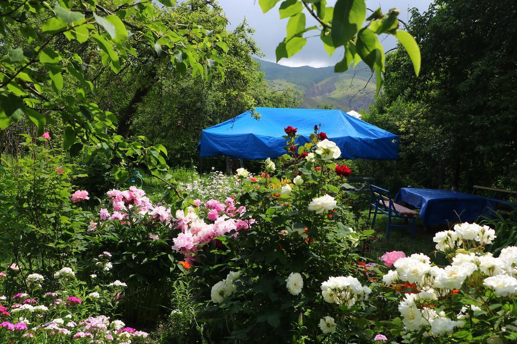 Hotel Mira Goris Exterior photo